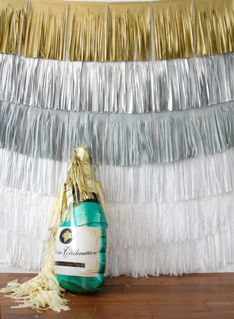 New Years Eve Backdrop Fringe Curtain Winter Onederland Image 0