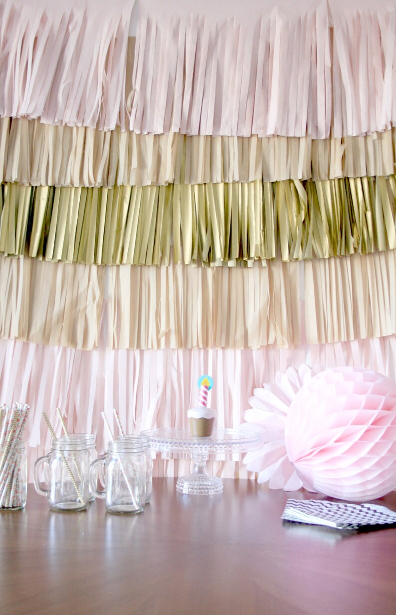 Blush And Gold Backdrop Fringe Curtain Photo Booth Image 0