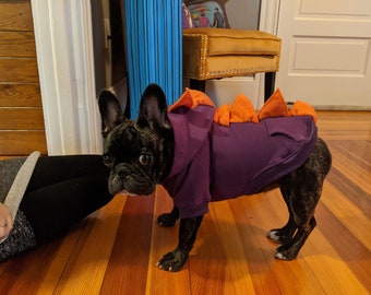 Dog Dino hoodie ( size chart in the listing. Before ordering, measure your dog according to my chart)