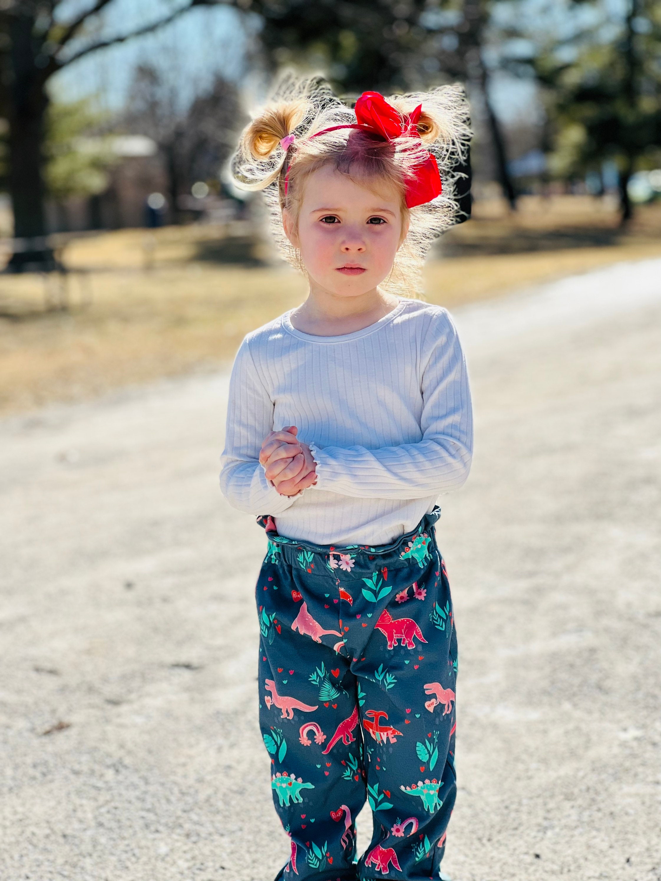 Ruffle Top Dinosaur Joggers Dinosaur 