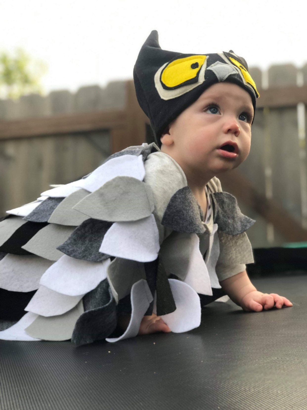 Baby owl costume deals