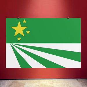 May include: A rectangular poster displaying a flag design. The top section is green, with a large yellow star and three smaller yellow stars. The bottom half has white and green stripes. The poster is suspended on a red wall.