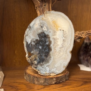 May include: A polished agate geode slice, showcasing concentric bands of gray, white, and amber hues. The geode is mounted on a small, round wooden base, with a natural wood branch in the background. The geode's center features a dark, crystalline formation.