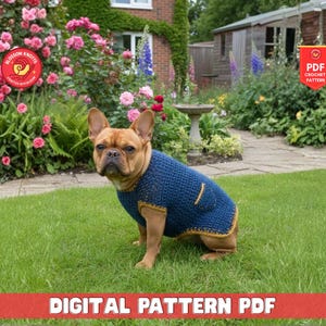 Dog Sweater Knitting Pattern, Cozy Pet Clothes Knitting Instructions, Handmade Dog Jumper Pattern, DIY Knit Dog Clothing Design