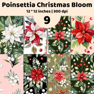 Könnte beinhalten: Eine digitale Sammlung von 9 Poinsettia Christmas Bloom Mustern, jeweils 30,48 x 30,48 cm groß bei 300 dpi. Die Designs zeigen Aquarell-Illustrationen von roten und weißen Weihnachtssternen, Tannenzweigen und roten Beeren.