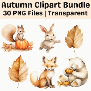 Fall Clipart Bundle PNG | Woodland Animals Pumpkin Autumn Graphics | Rustic Thanksgiving Set
