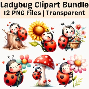 Könnte beinhalten: Ein digitales Clipart-Paket mit 12 transparenten PNG-Dateien von Marienkäfer-Cartoons. Die Illustrationen zeigen Marienkäfer in Interaktion mit Sonnenblumen, Gänseblümchen, einem Baumstumpf, einem Blumenkorb und einem rot-weiß gepunkteten Pilz.