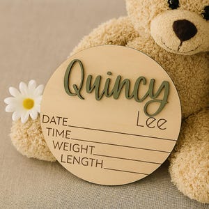 Personalized Birth Announcement Sign for hospital, Custom 3D Baby Name Sign , Birth Stats Baby Announcement Sign, Newborn Name Wood Sign