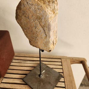 Può includere: Un frammento di osso fossilizzato dalla consistenza ruvida, color beige e ocra, montato su una sottile asta di metallo nero. Il reperto è sostenuto da una base quadrata e piatta in metallo grigio scuro, per un'esposizione verticale.