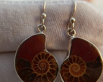 Ammonite Fossil Earrings, Reddish-Brown Spiral Shell, Natural Stone Jewelry
