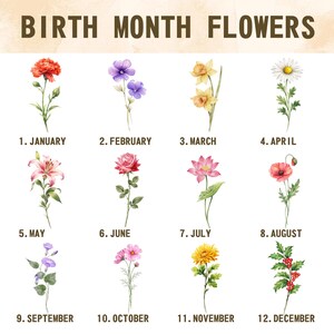 K&ouml;nnte beinhalten: Eine Illustration von Geburtsmonatsblumen. Das Bild zeigt 12 verschiedene Blumen, die jeweils einen Monat des Jahres repr&auml;sentieren. Der Text "BIRTH MONTH FLOWERS" steht oben. Jede Blume ist mit dem entsprechenden Monat beschriftet.