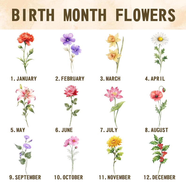 K&ouml;nnte beinhalten: Eine Illustration von Geburtsmonatsblumen. Das Bild zeigt 12 verschiedene Blumen, die jeweils einen Monat des Jahres repr&auml;sentieren. Der Text "BIRTH MONTH FLOWERS" steht oben. Jede Blume ist mit dem entsprechenden Monat beschriftet.