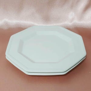 Può includere: Due piatti bianchi ottagonali impilati. I piatti hanno un bordo decorativo sottile e un design pulito. I piatti sono realizzati in un materiale liscio e lucido. Ideali per la tavola.