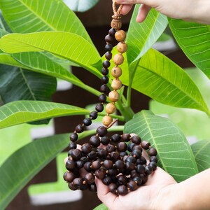 May include: A wooden bead necklace with varying shades of brown beads. The necklace is held against a backdrop of large green leaves. The beads range in color from light tan to dark brown, creating a natural, earthy aesthetic.