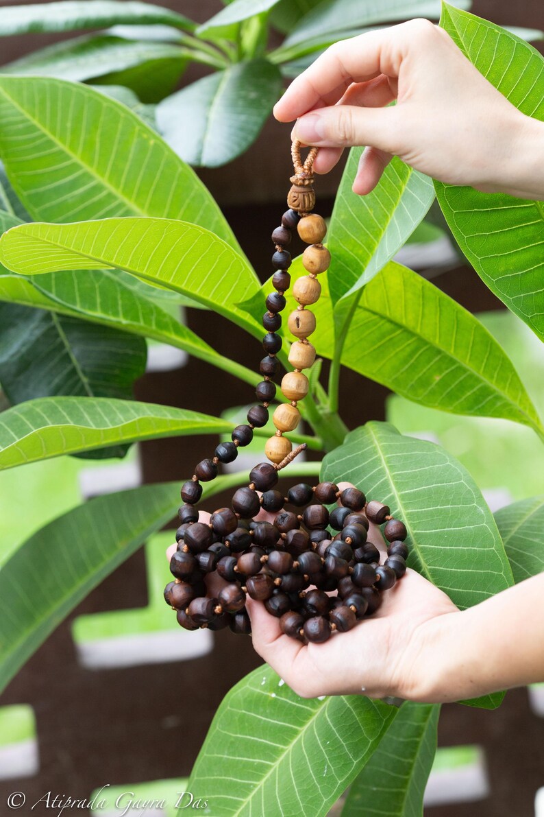 May include: A wooden bead necklace with varying shades of brown beads. The necklace is held against a backdrop of large green leaves. The beads range in color from light tan to dark brown, creating a natural, earthy aesthetic.