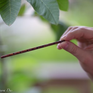 Puede incluir: Una flauta de madera delgada y marrón con tallas decorativas y pequeños agujeros, sostenida contra un fondo verde borroso. La flauta se sostiene en la mano de una persona, con hojas verdes en el fondo.