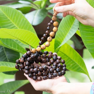 May include: A wooden beaded necklace with varying shades of brown beads. The necklace is held against a backdrop of green leaves. The beads are a mix of dark brown and lighter tan colors, with a decorative wooden pendant.