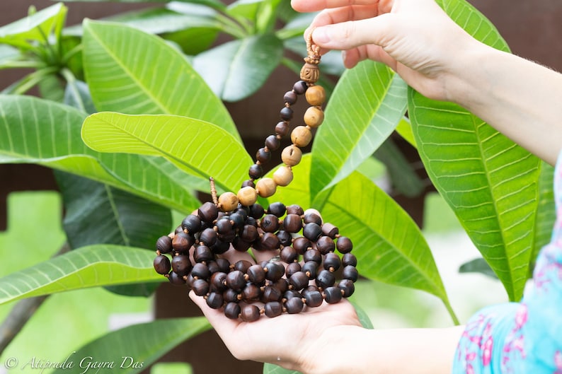 May include: A wooden beaded necklace with varying shades of brown beads. The necklace is held against a backdrop of green leaves. The beads are a mix of dark brown and lighter tan colors, with a decorative wooden pendant.