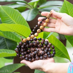 May include: A strand of prayer beads with dark brown and light brown wooden beads. The beads are held in front of green leaves. The top of the strand has a carved wooden figure.