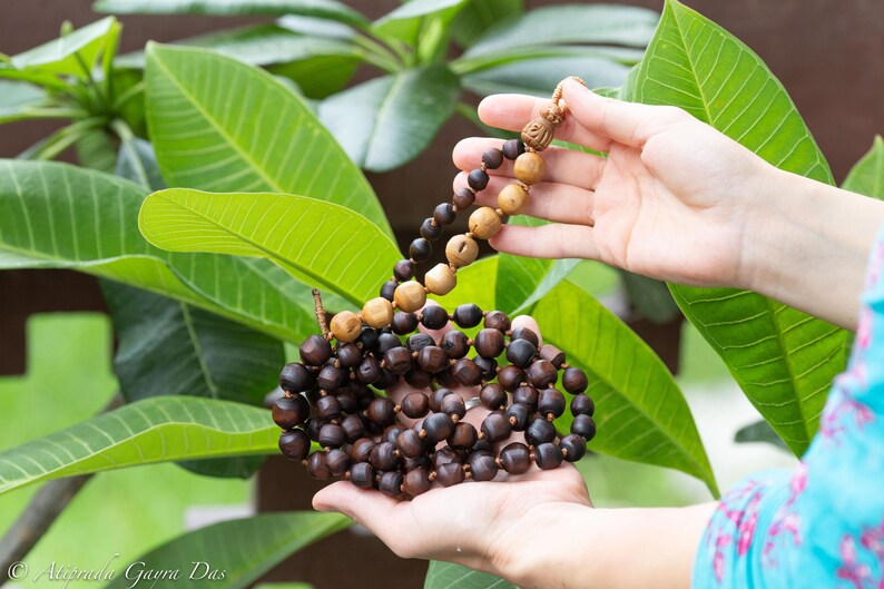 May include: A strand of prayer beads with dark brown and light brown wooden beads. The beads are held in front of green leaves. The top of the strand has a carved wooden figure.