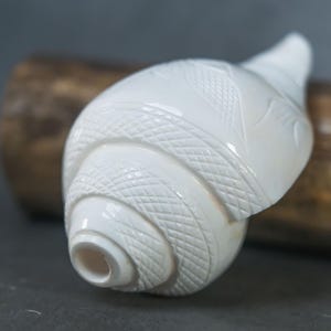 Peut inclure: Un coquillage blanc avec des détails sculptés complexes. La coquille présente un motif en spirale avec des motifs hachurés et d'autres motifs sculptés. Le coquillage est posé sur une surface sombre, avec un objet en bois flou en arrière-plan.
