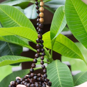 May include: A wooden bead necklace with alternating dark brown and light brown beads. The necklace is held against a backdrop of green leaves. The beads are round and cylindrical, strung together with a thin cord.