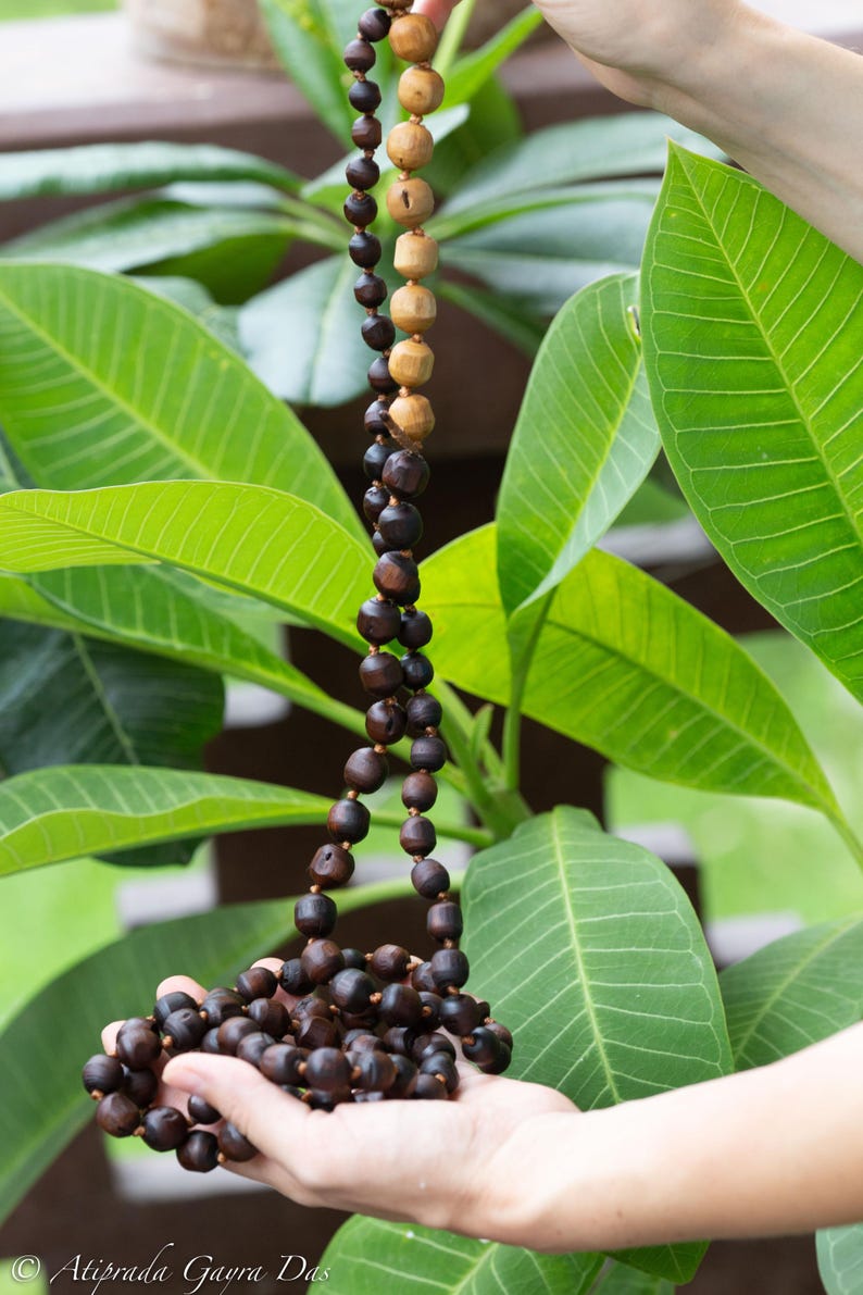 May include: A wooden bead necklace with alternating dark brown and light brown beads. The necklace is held against a backdrop of green leaves. The beads are round and cylindrical, strung together with a thin cord.