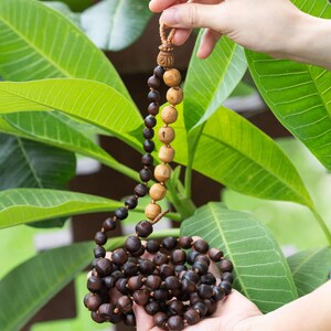 May include: A wooden beaded necklace with varying shades of brown beads. The necklace is held by a person's hands against a backdrop of green leaves. The beads transition from light to dark brown.