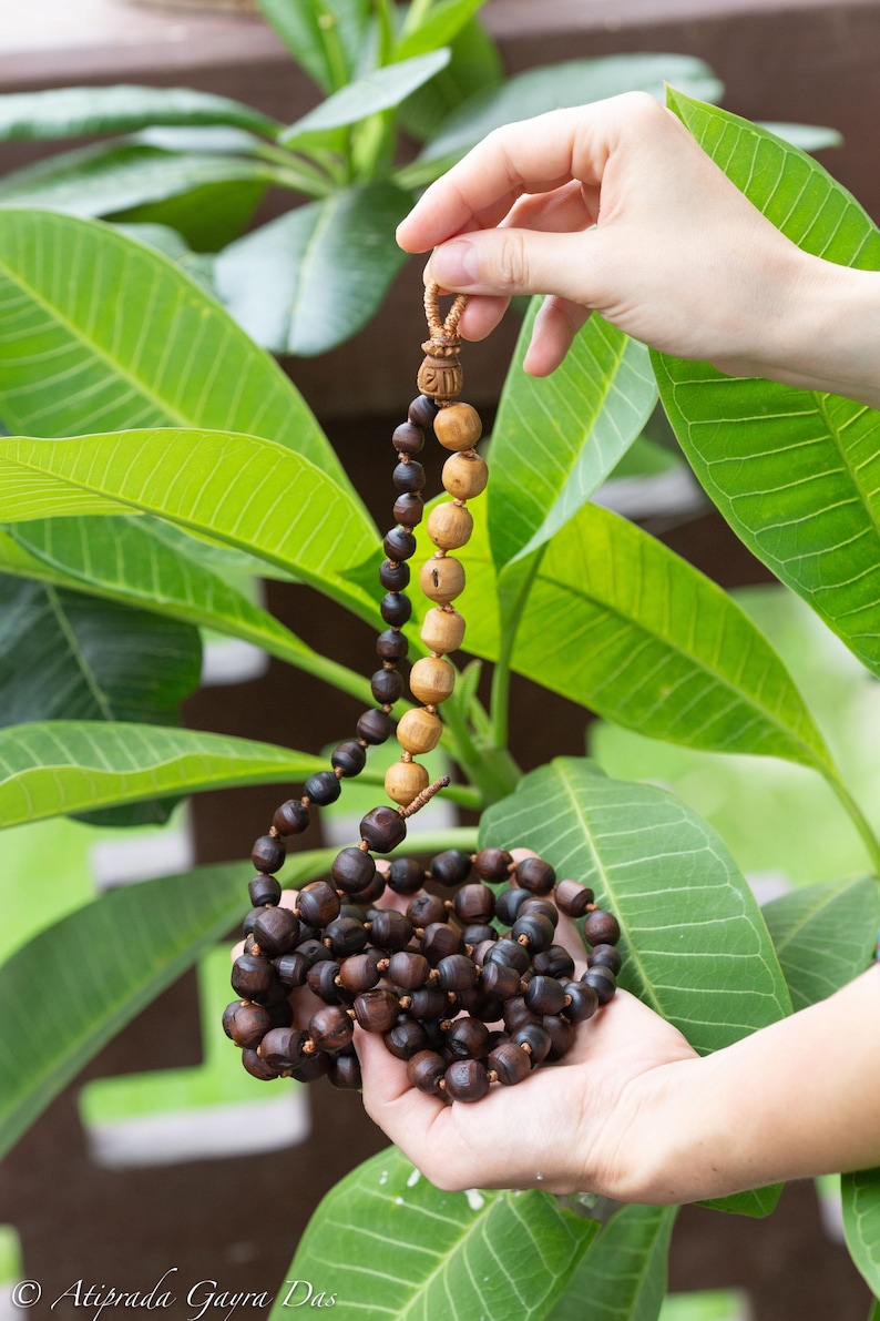 May include: A wooden beaded necklace with varying shades of brown beads. The necklace is held by a person's hands against a backdrop of green leaves. The beads transition from light to dark brown.