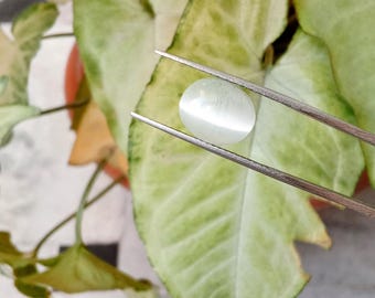 Ojo de Gato (Lehsunia) / Cabujón Ovalado de 10-12 mm / Efecto Ojo Afilado / Poderosa Piedra Preciosa Astrológica para Ketu