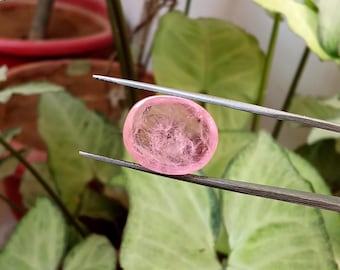 Morganita natural: cristal ovalado rosa suave de 13 x 16 mm, piedra natal de marzo.