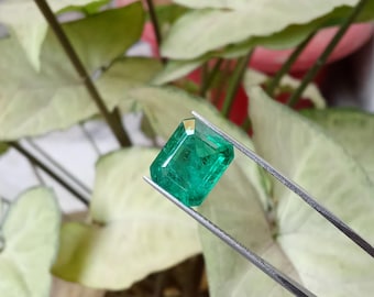 Esmeralda de Zambia / Talla octogonal de 8 x 10 mm, verde intenso