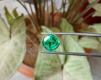 Esmeralda natural de Colombia / Gema verde de talla cojín de 10 mm