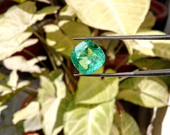 Esmeralda rusa 100% natural - Gema suelta de talla cojín de 14 mm - Piedra Panna verde intenso para anillo - Joyería de piedra natal de mayo