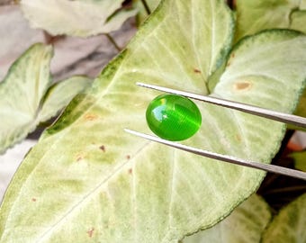 Piedra preciosa de ojo de gato verde natural - Cabujón ovalado de 10 x 12 mm