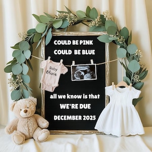 Digital Pregnancy Announcement, Digital Baby Reveal, Social Media Editable Template, Gender Neutral Announcement, Boho Pregnancy Reveal