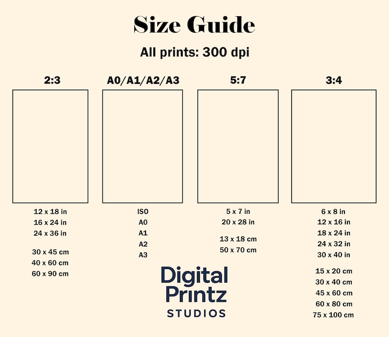 Pu&ograve; includere: Una guida alle dimensioni per stampe, con vari rapporti e dimensioni. Include formati come 30 x 45 cm, 40 x 60 cm e 60 x 90 cm, oltre a formati ISO. Il testo "Digital Printz Studios" &egrave; in basso.
