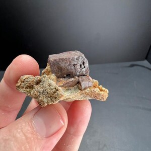 Può includere: Un esemplare di cristallo minerale cubico marrone scuro attaccato a una matrice rocciosa ruvida color marrone chiaro. Il cristallo presenta bordi geometrici netti e una consistenza superficiale leggermente riflettente, in contrasto con la base terrosa e porosa.