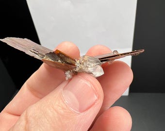 May include: A mineral specimen resembling a butterfly. The wings are a translucent brown color, and the body is a mix of brown and clear crystal. The specimen is held in a hand against a white background.