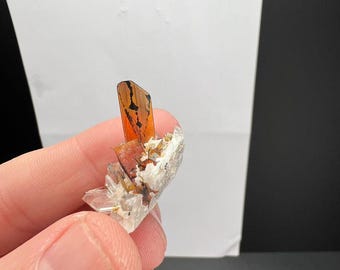 Brookite with Quartz • Natural Mineral Specimen • Rare Crystal • Collector Display • Pakistan Mineral