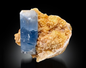 May include: A mineral specimen featuring a large, translucent, prismatic blue crystal attached to a cluster of textured, golden-yellow crystalline formations. The blue crystal displays a distinct hexagonal shape with smooth, reflective facets.
