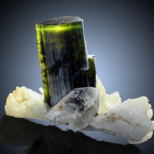 4,2 cm turmalin med albit • Naturligt mineralprov • Pakistan