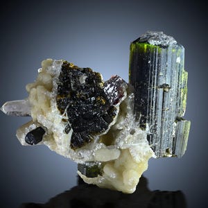 4,5 cm mörkgrön turmalin med albit och kvarts • Naturligt mineralprov • Pakistan