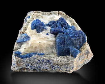 May include: A natural mineral specimen featuring vibrant blue lapis lazuli crystals clustered on a matrix of white and gray stone. The rough-hewn rock displays a mix of textures and colors, with small flecks of gold.