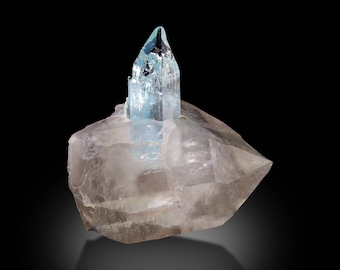 May include: A light blue aquamarine crystal formation atop a larger, translucent quartz crystal. The aquamarine crystal is sharply pointed, with a clear, crystalline structure. The quartz base is a pale, smoky color, with visible facets. The background is black.