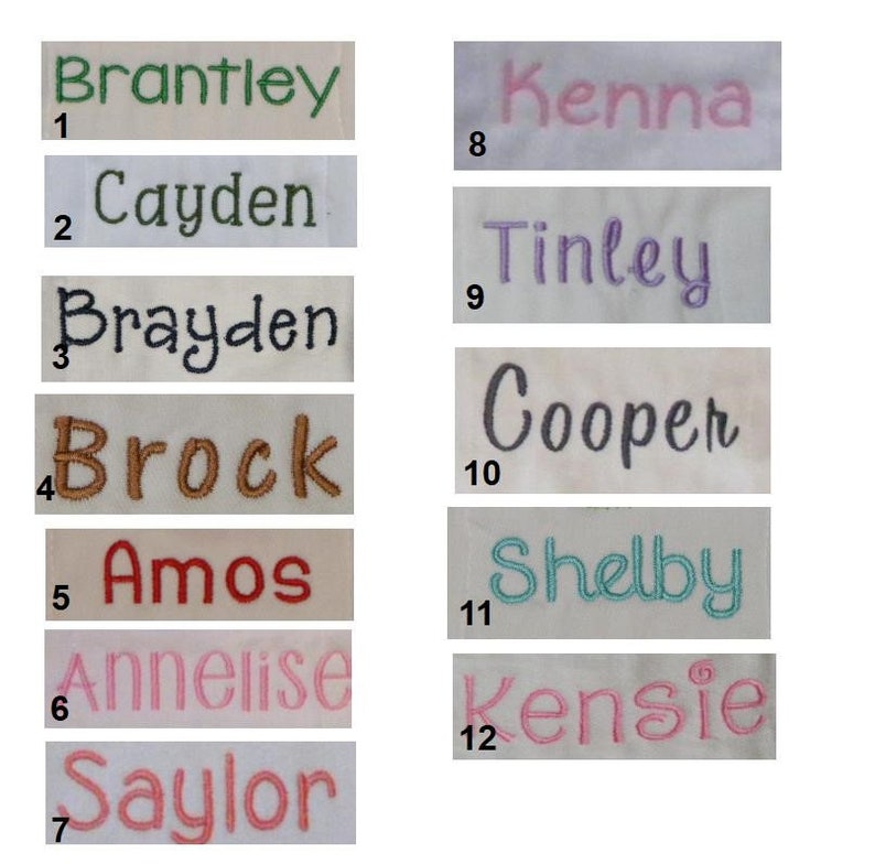 The Princess has Arrived Burp Cloth or BIb SINGLES
