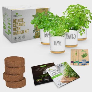 May include: A ZestiGreens Deluxe Ceramic Herb Garden Kit including a cardboard box, four white ceramic pots with bamboo saucers labeled Basil, Thyme, Cilantro, and Parsley, four soil discs, seed packets, and a printed grow guide booklet.