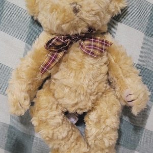 Puede incluir: Un oso de peluche marrón claro con un lazo a cuadros. El oso tiene una textura suave y esponjosa y ojos pequeños y oscuros. Sus patas son de un tono marrón más claro. Un juguete infantil clásico.