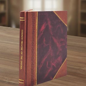 Op de afbeelding: Een hardcover boek getiteld Turing's Treatise on the Enigma met een dieprode en donkerpaarse kaft. De rug is voorzien van gouden letters en horizontale gouden lijnen, terwijl de voorkant een getextureerd donker paneel met gouden rand toont.