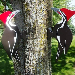 PILEATED WOODPECKER